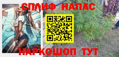 бошки Кингисепп