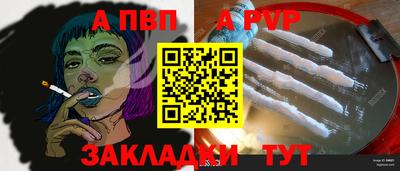 бошки Кингисепп
