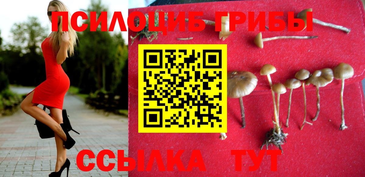 Псилоцибиновые грибы мицелий Лесозаводск